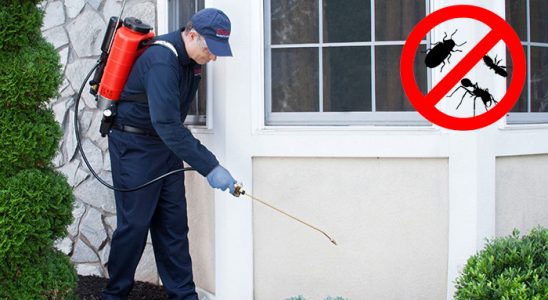 Altınekin Fare İlaçlama böcek ilaçlama ve haşere kontrolü — ilaclama-tr.com